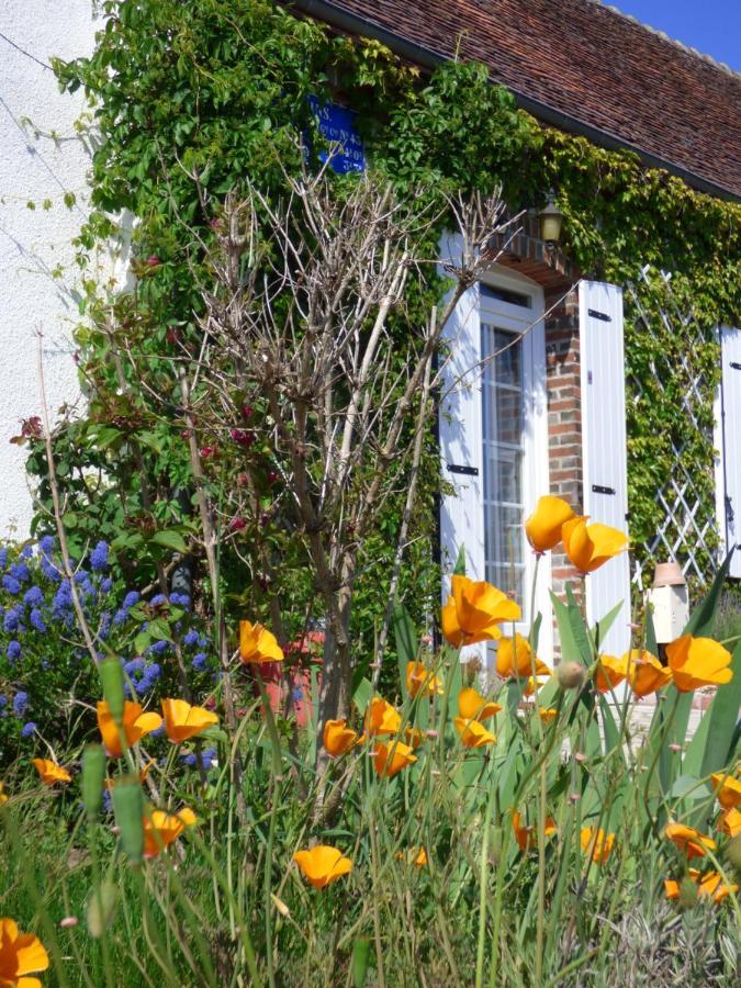 Chambres D'Hotes Les Muscaris Feins-en-Gatinais 외부 사진